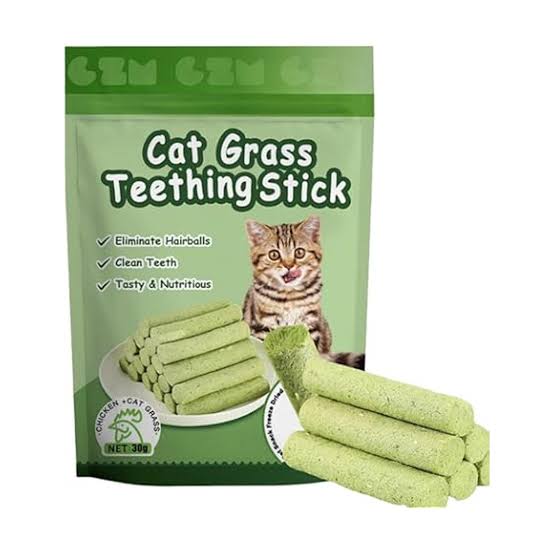 تشویقی کت گرس (علف گربه)  Cat Grass  6 عددی